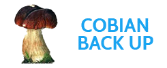 Cobian Backup